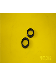 PARAOLIO PAIOLI 38x48x10