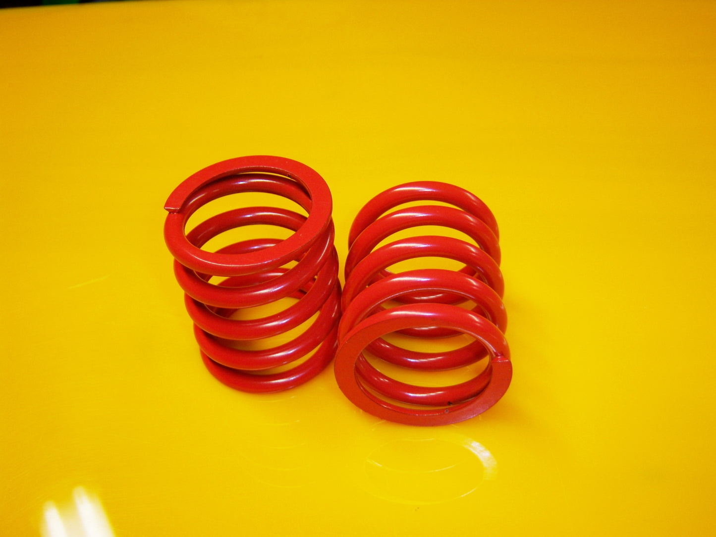 MOLLE ( CORTE) CORTE E COSSO